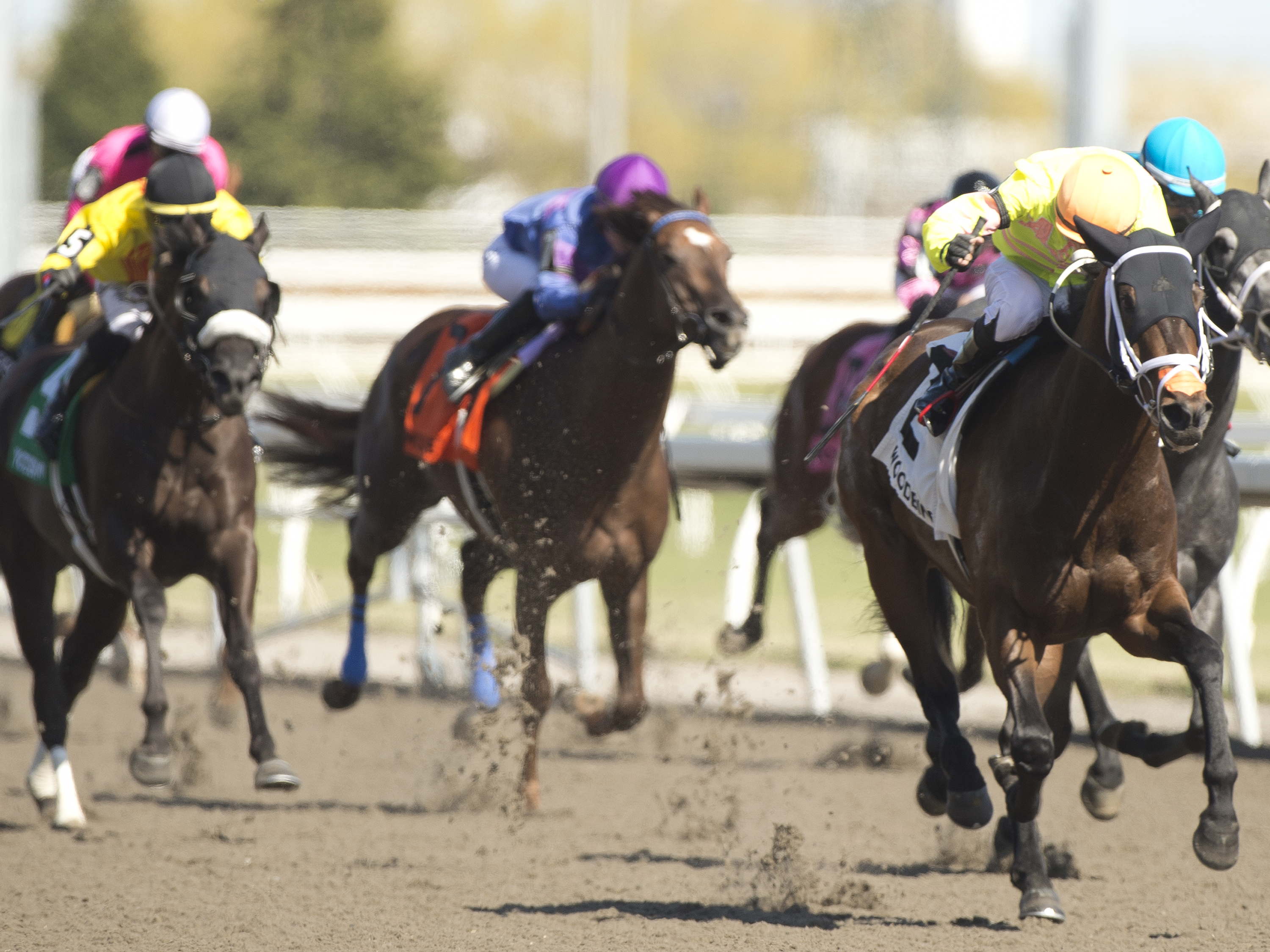 Woodbine Expands Racing Schedule, New Thursday Post Time 