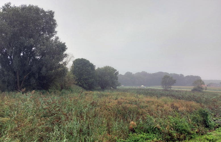 Overstromingsgebied Moerasstraat