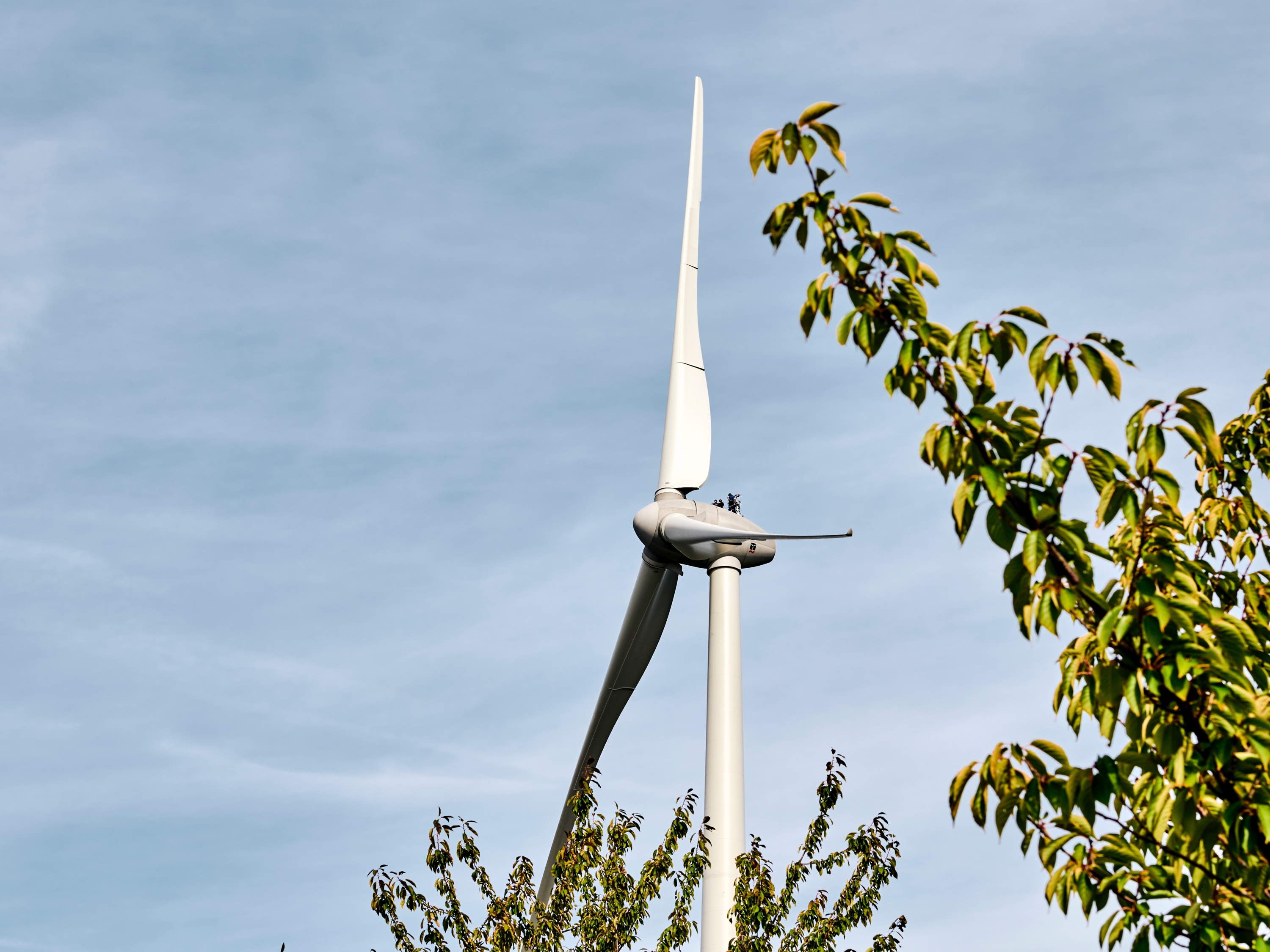 Luminus organiseert infomarkt over windproject in industriezone De Prijkels