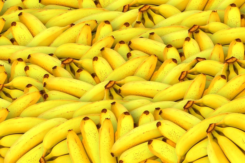 Typical OECS produce