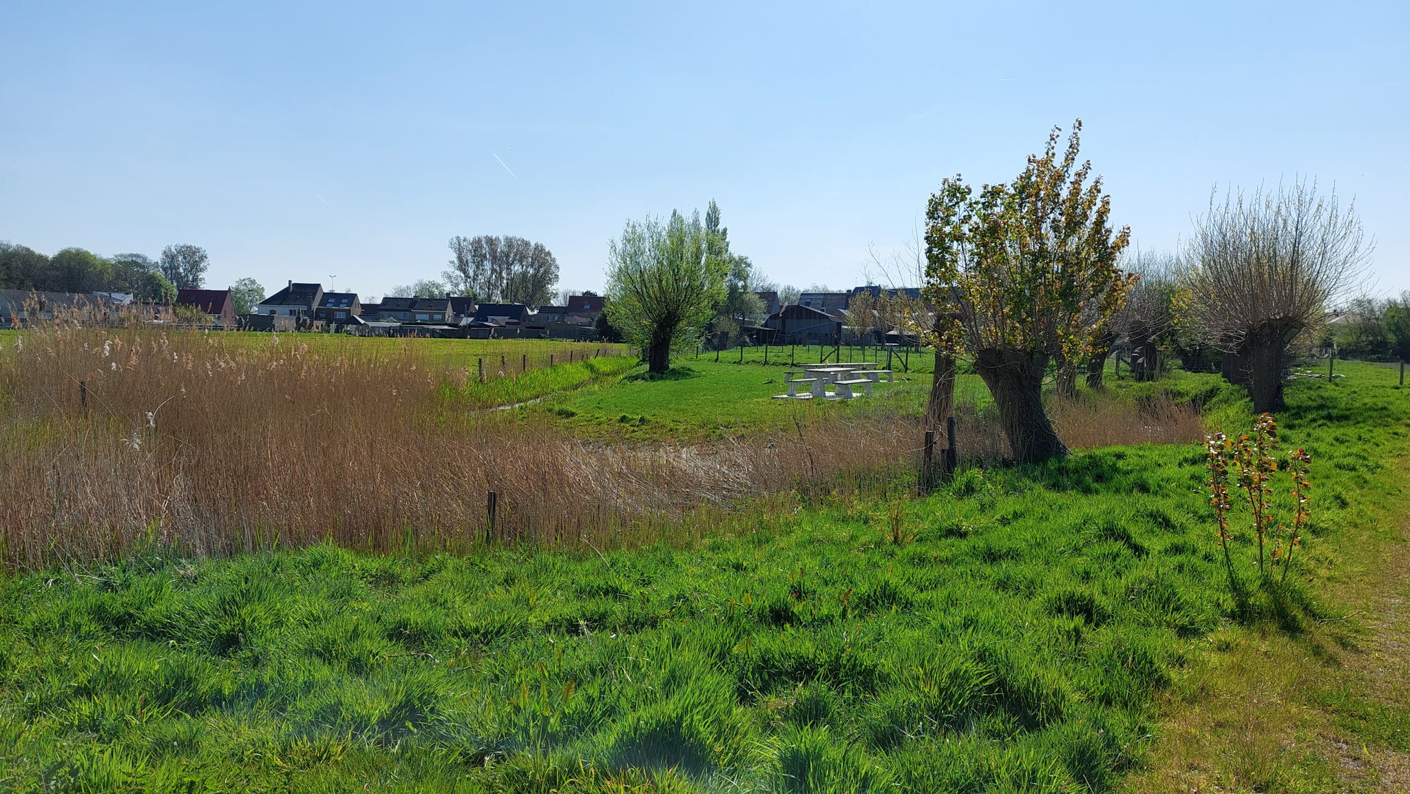 Een ietwat tussen het groen verstopte picknickplek bij een sloot zal veel mensen van binnen en buiten Dudzele kunnen bekoren.