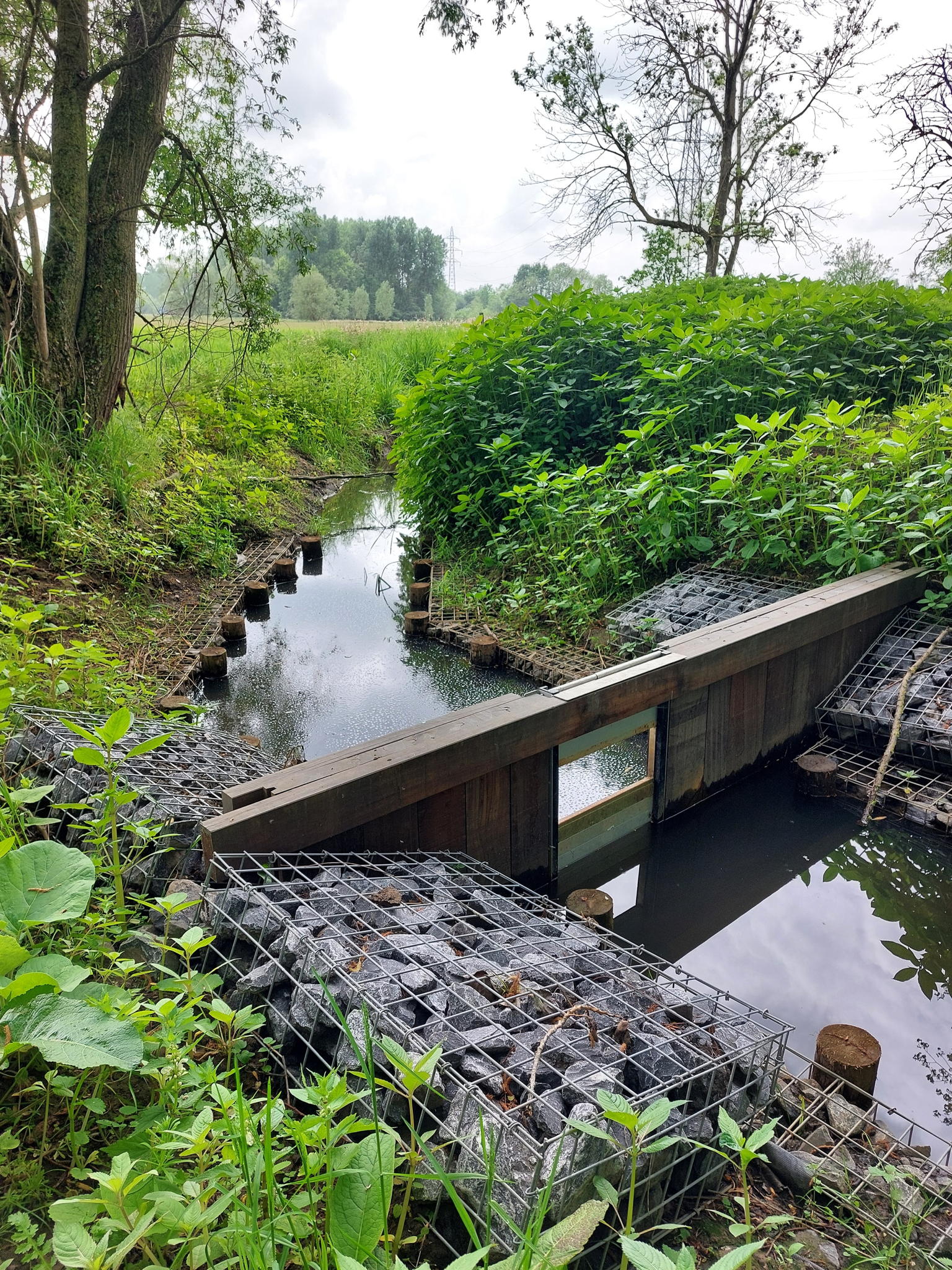 Regelbare stuw op de Kleine Molenbeek