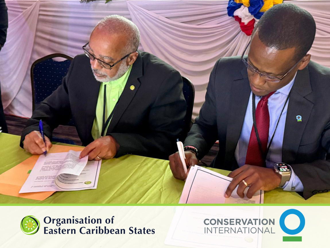 OECS and Conservation International Forge Strategic Partnership to Bolster Climate Resilience and Ocean Conservation  