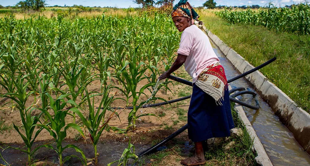 ICRISAT Wins 2022 Excellence in Practice Gold Award
