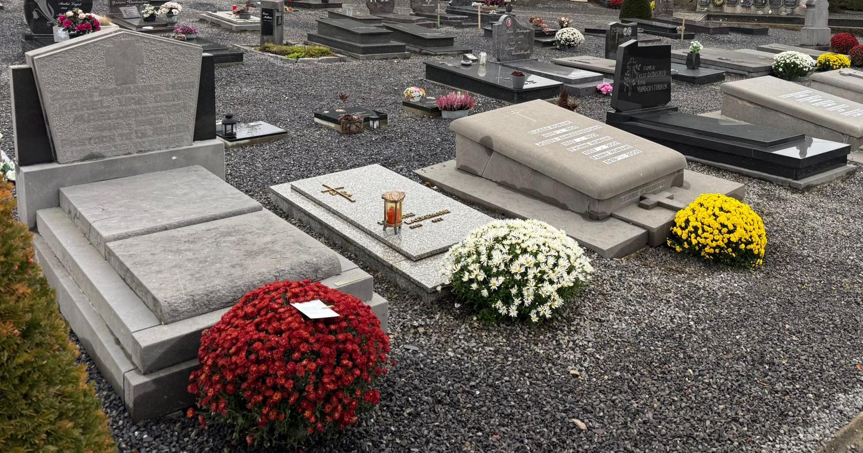 200 onbezochte graven in Glabbeek en Linter krijgen symbolische chrysant