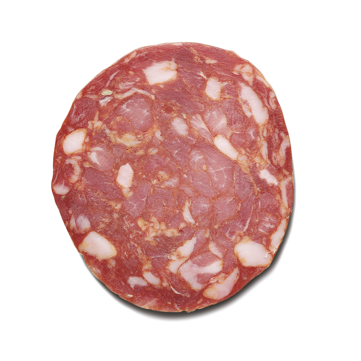 Salami d'Italia: testimoni di un inimitabile patrimonio di tradizioni  regionali