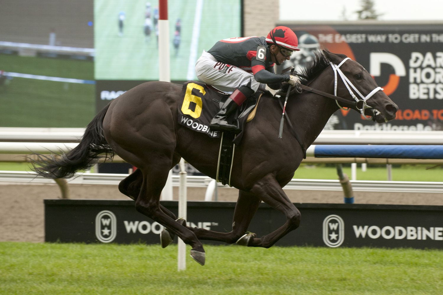 Ancient Spirit and jockey Rafael Hernandez winning the Victorian Queen Stakes on Saturday at Woodbine (Michael Burns Photo)