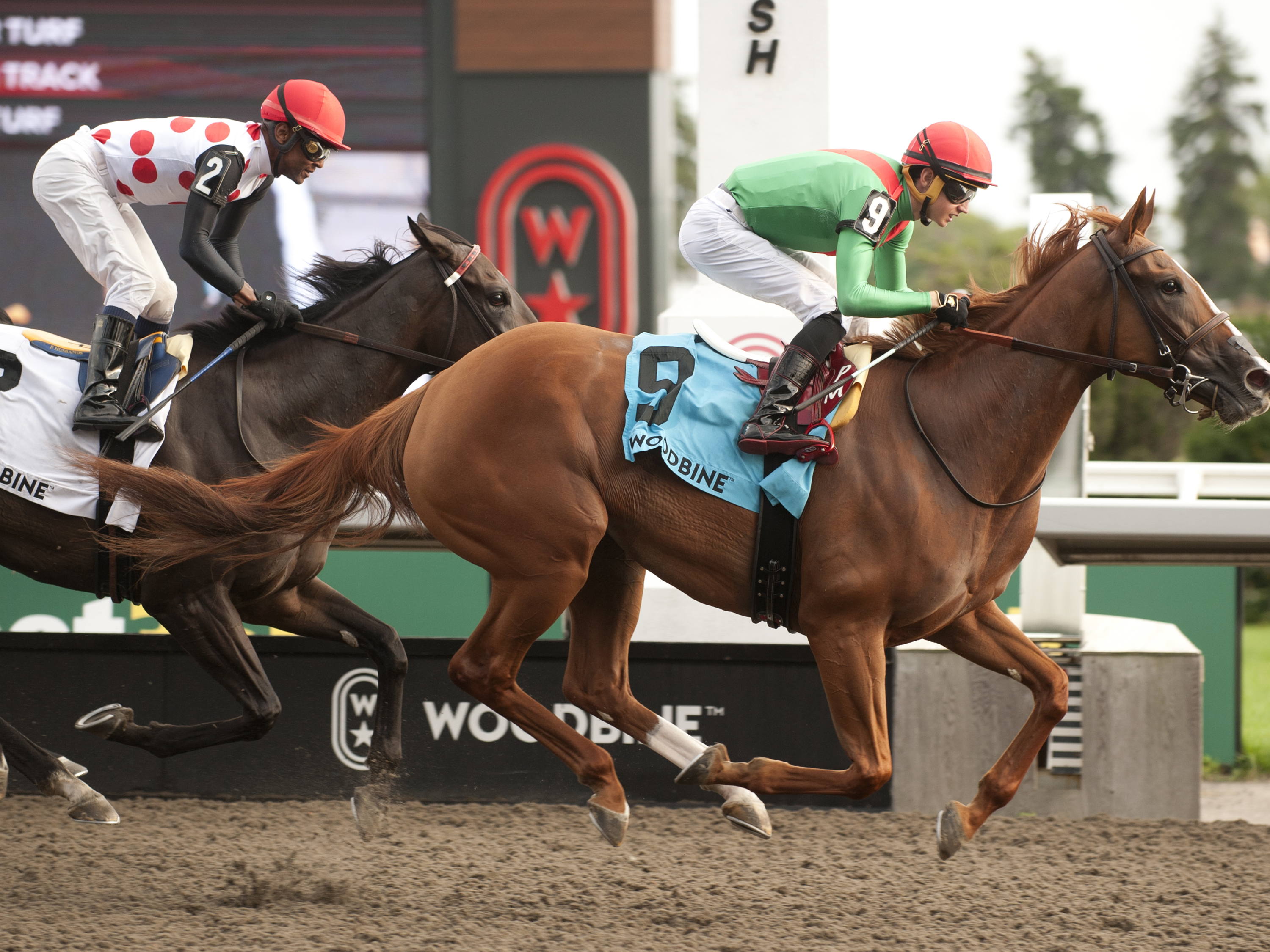 Elysian Field back on winning track in Grade 3 Seaway, leads Casse podium sweep