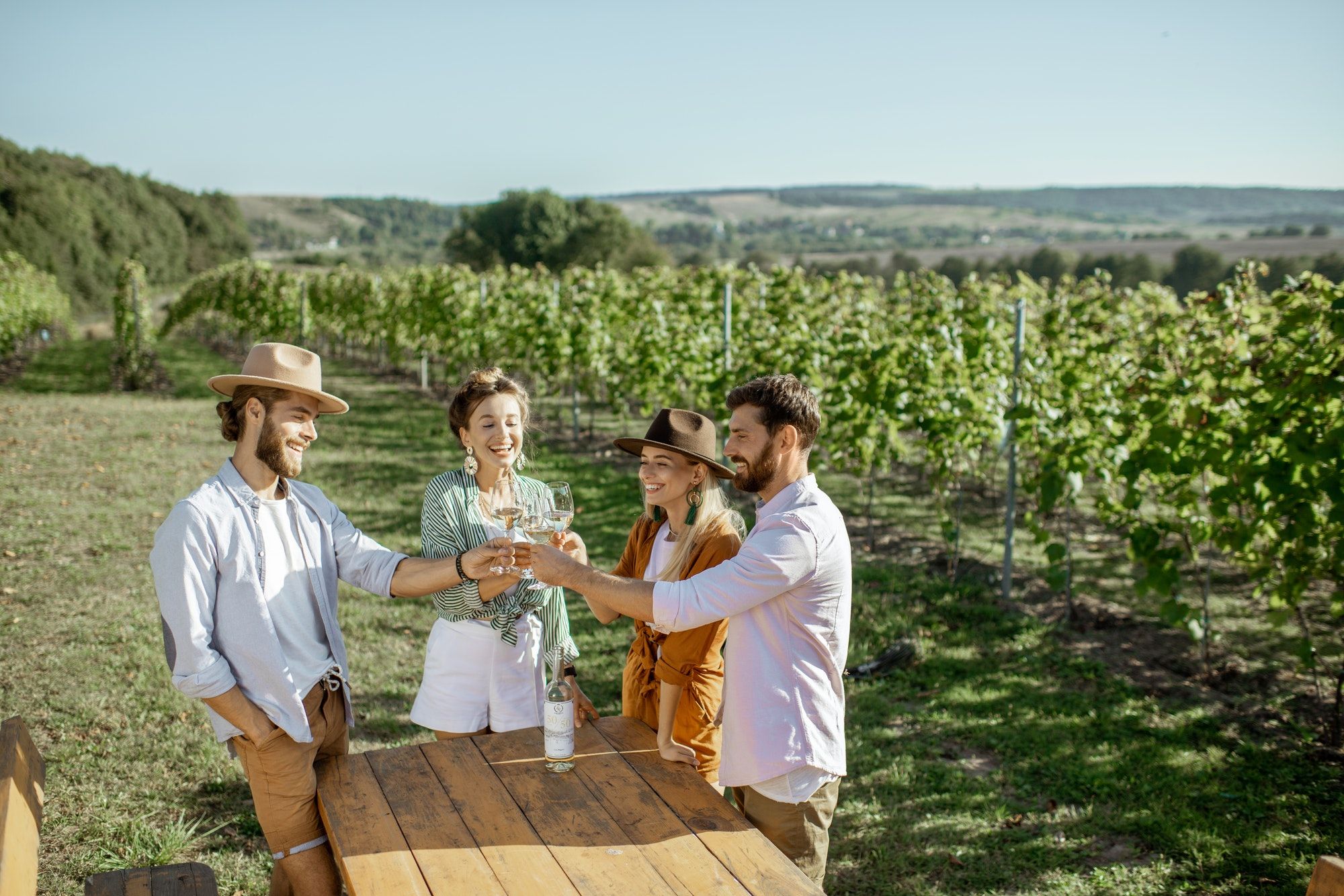 Napa Valley, Wine Country, California