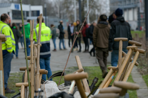 About sixty volunteers plant 120 trees on VUB campus
