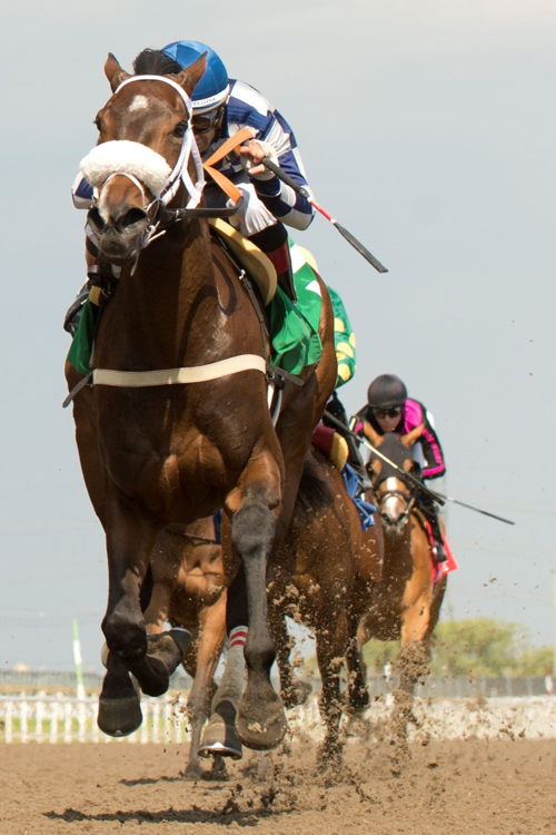 Moira, under Rafael Hernandez, wins the 2022 edition of the Stella Artois Fury Stakes on Saturday at Woodbine. (Michael Burns Photo)