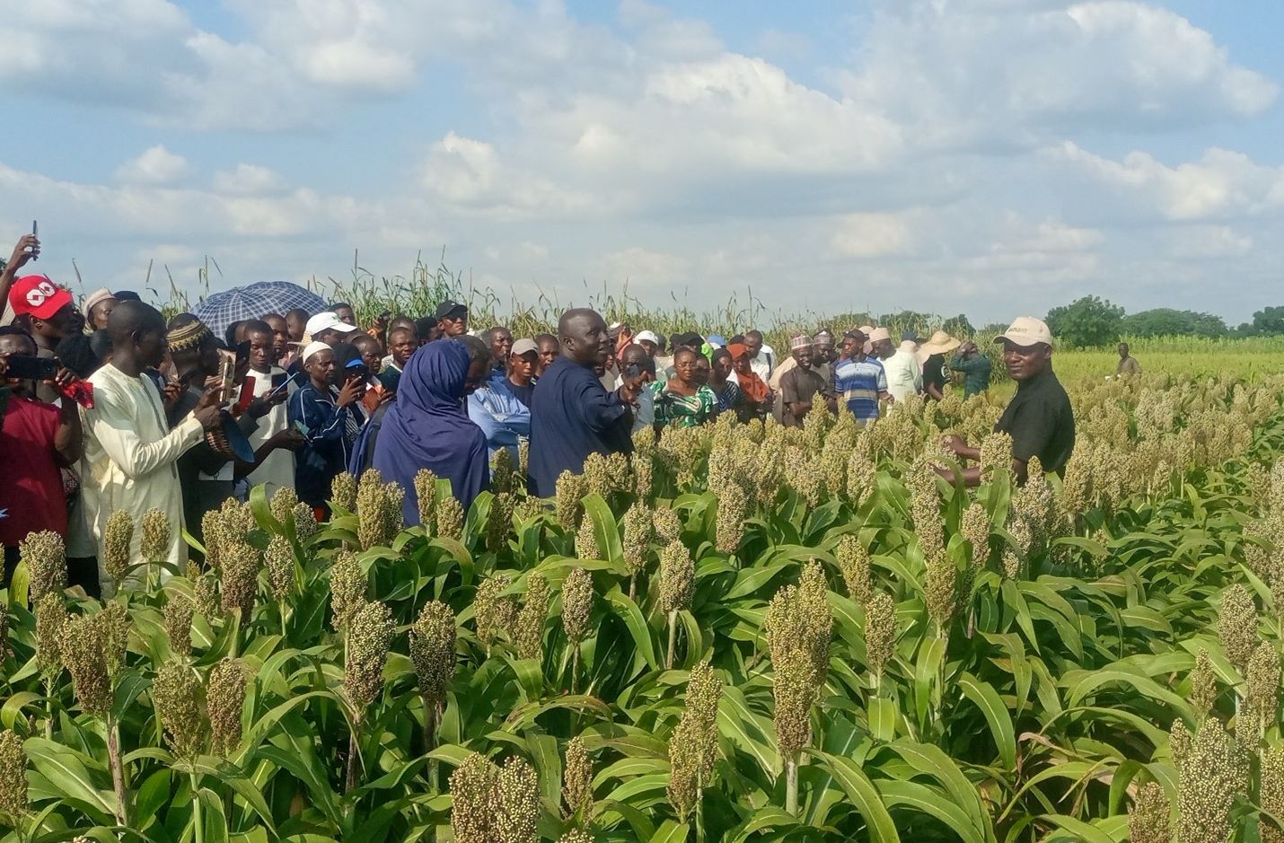 Shaping the Future of Nigerian Agriculture: ICRISAT Empowers Students Through Educational Excursions