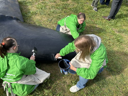 ©IOBZ SW_Wij zijn de Walvis - Kortrijk 2025 ©IOBZ SW_Wij zijn de Walvis - Kortrijk 2025
