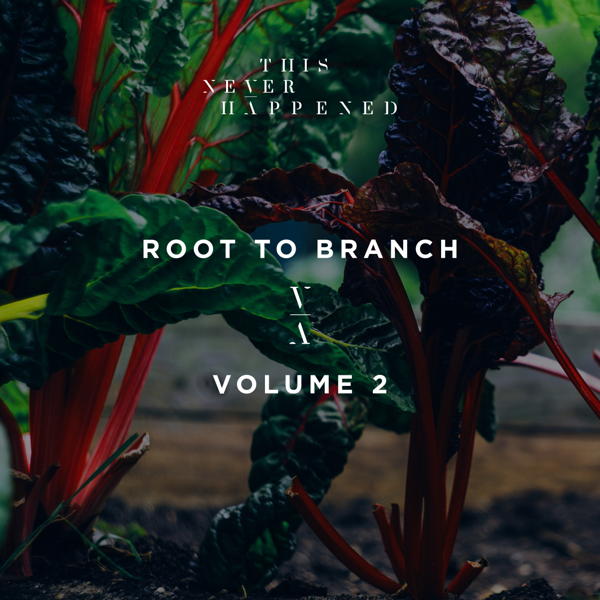 Lane 8 Releases Root To Branch Vol. 2