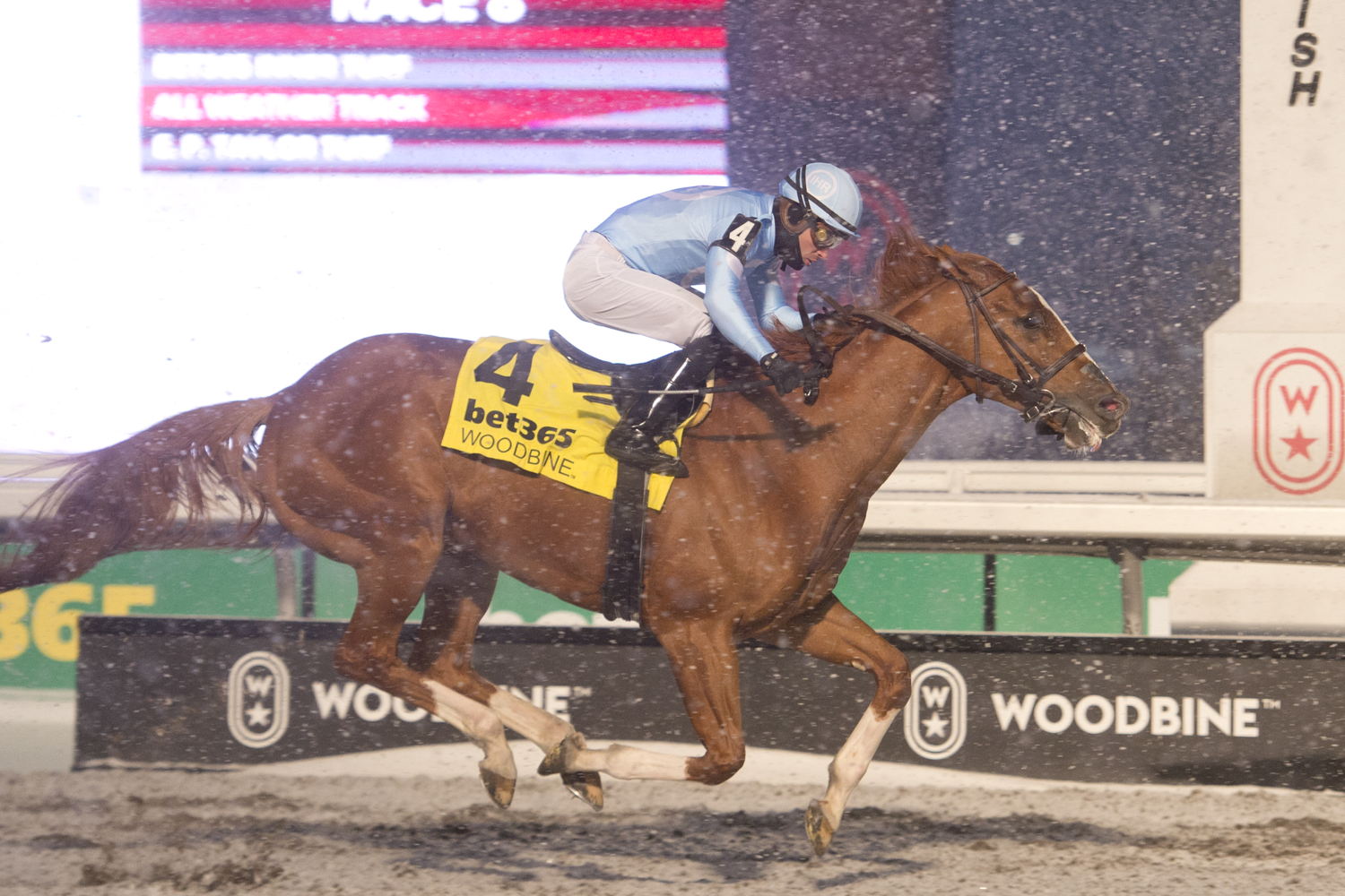 Get Smokin and jockey Sahin Civaci winning the Valedictory Stakes (G3) on December 7, 2024 at Woodbine (Michael Burns Photo)
