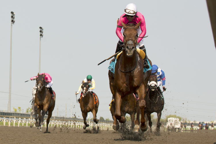 Paramount Prince and jockey Patrick Husbands winning the Seagram Cup (G2) on July 27, 2024 at Woodbine (Michael Burns Photo)
