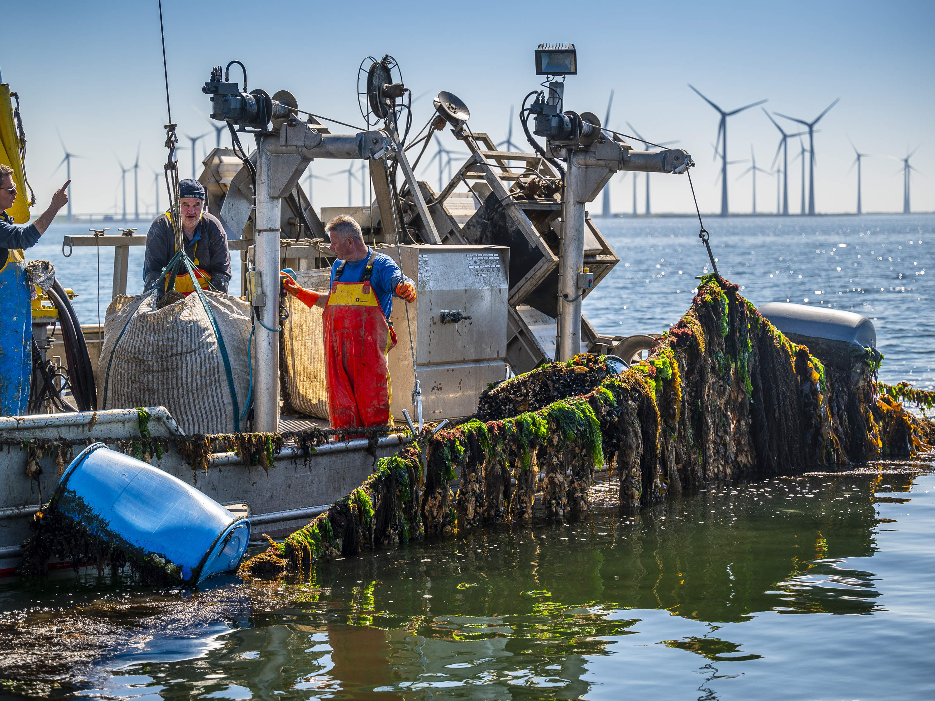 Persuitnodiging: Haal in primeur de nieuwe oogst boven water