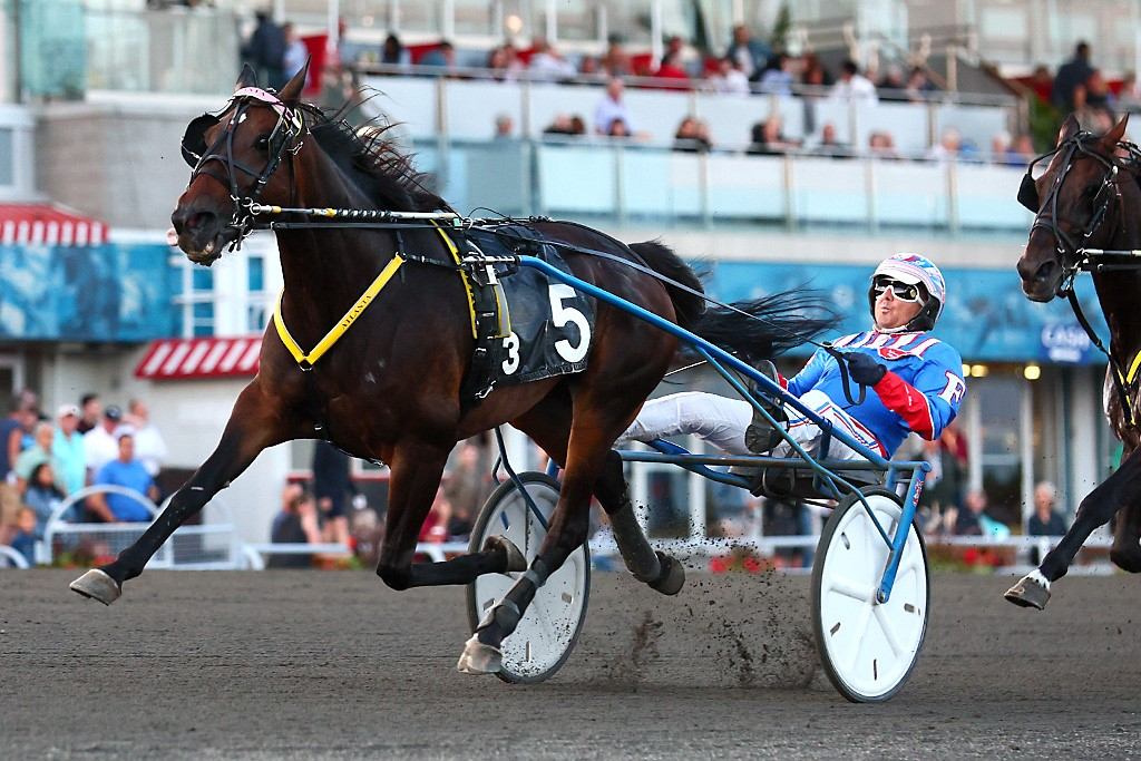 Atlanta winning the Open Trot. (New Image Media)