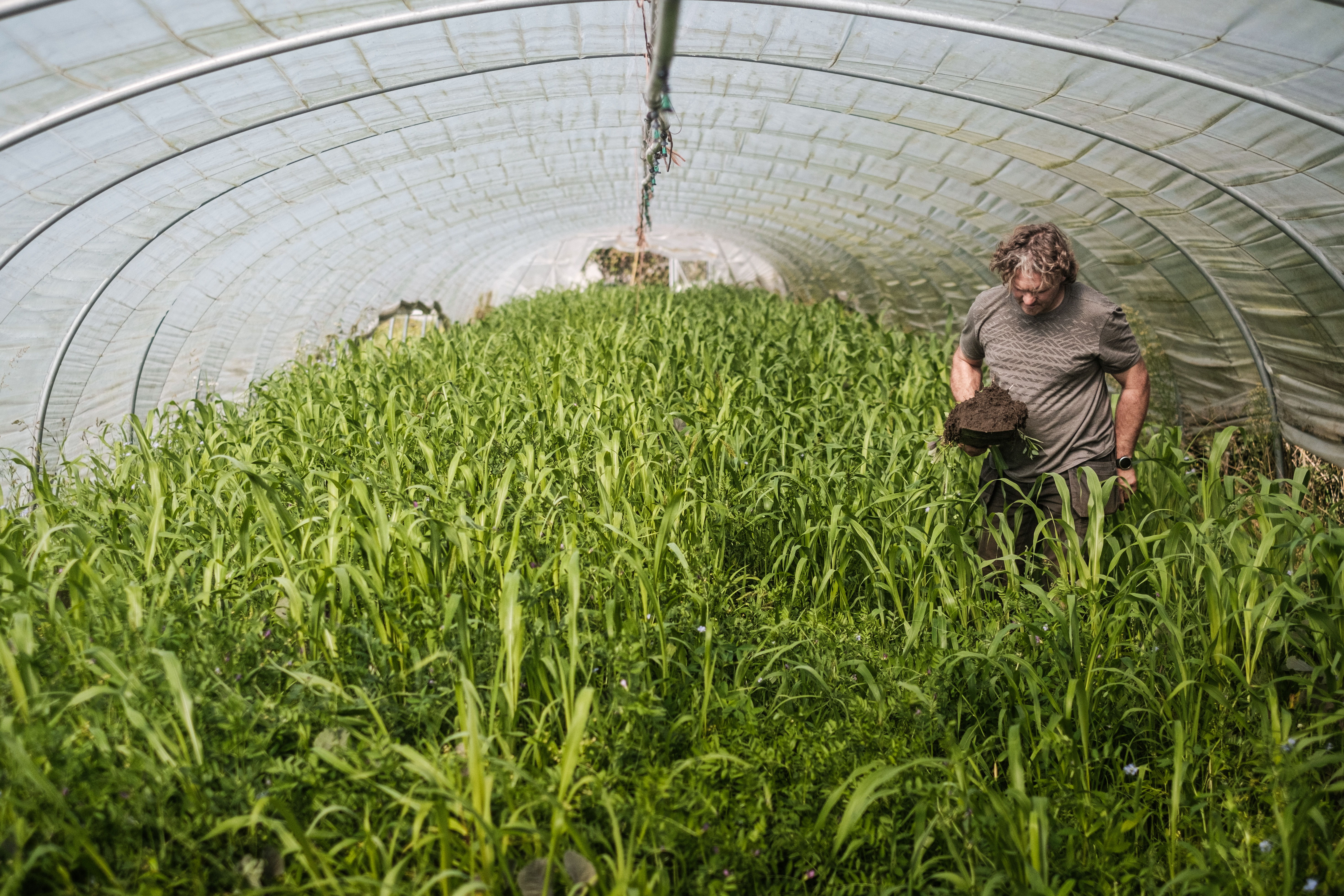 Boer Nico Vandevannet is de eerste winnaar van de Bodemschep. In zijn bioboerderij De Levende Aarde gebruikt hij groenbemesters om de bodem te voeden. ​
-Grond+Zaken-