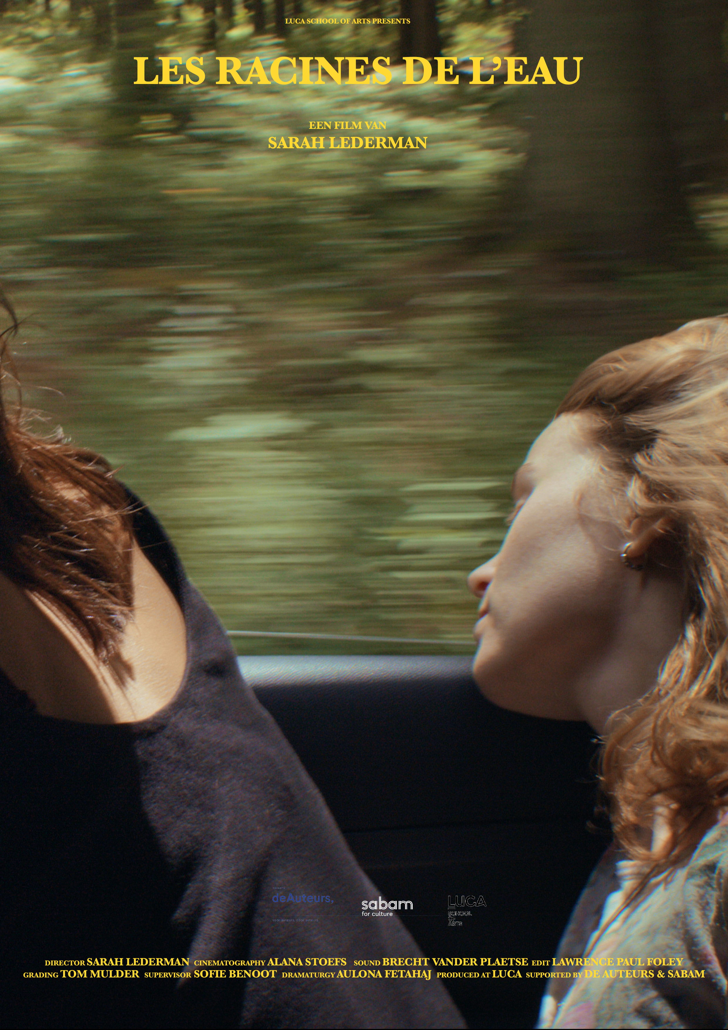 Poster Les racines de l