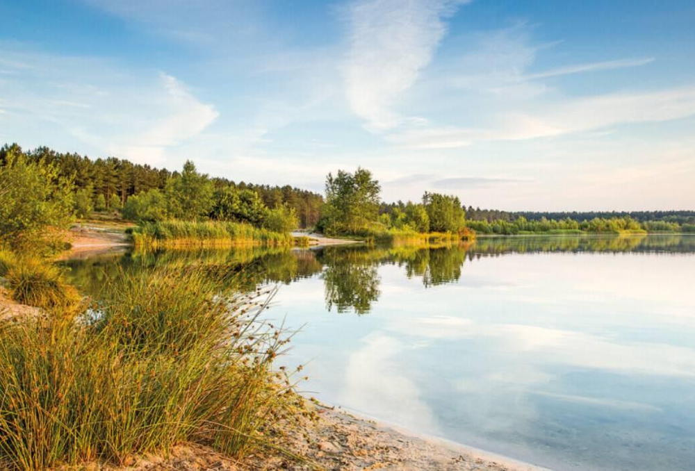 Limburg