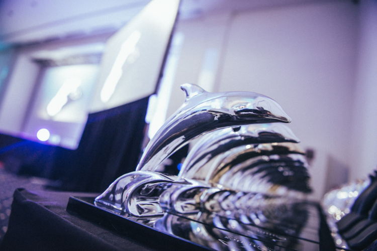 Silver Dolphin Award