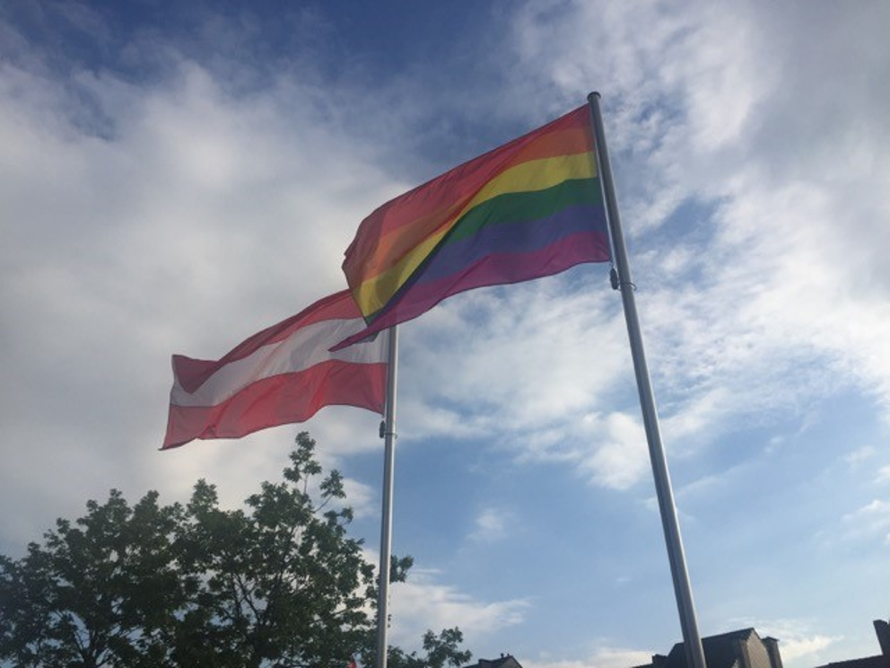 Regenboogvlag wappert aan stadskantoor