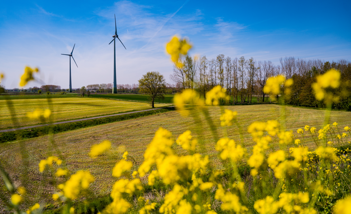 2021-04-26 - Windpark in de zon @ Lokeren - 073.jpg