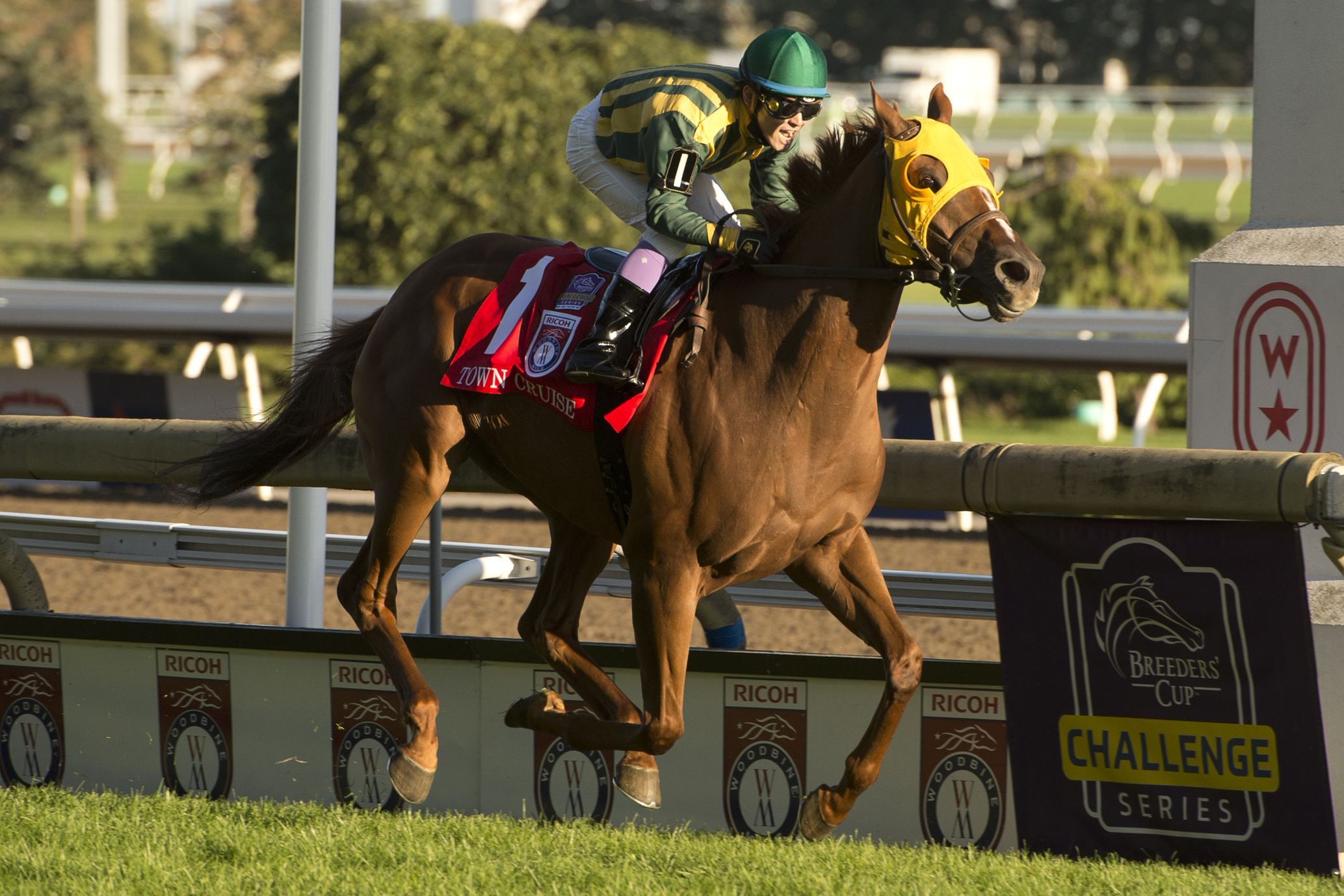 Town Cruise and Daisuke Fukumoto winning the 2021 Ricoh Woodbine Mile. (Michael Burns Photo)