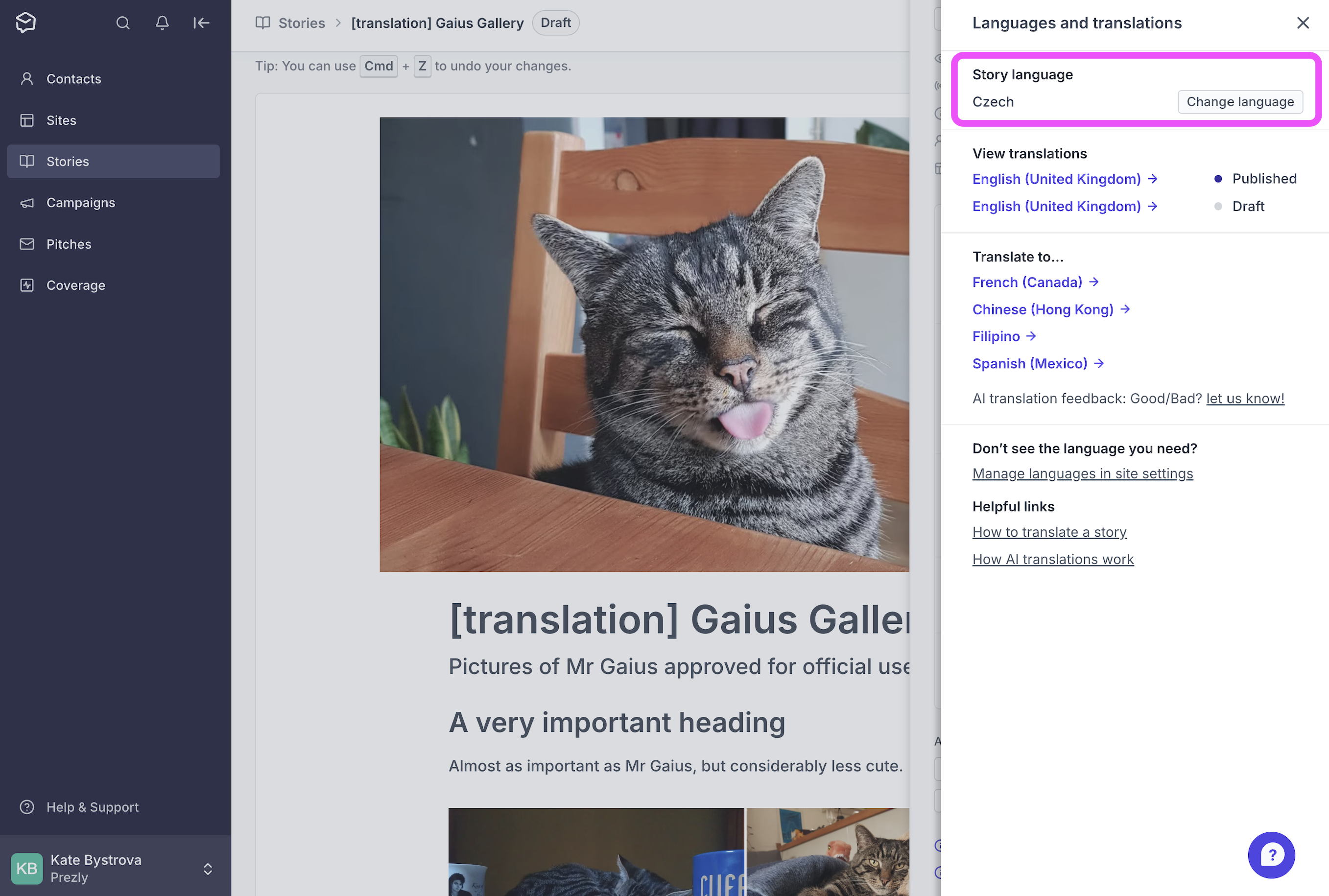 [browser]Access your Languages and translations settings through your story editor.