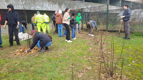 Nature-loving volunteers plant 485 trees at VUB 