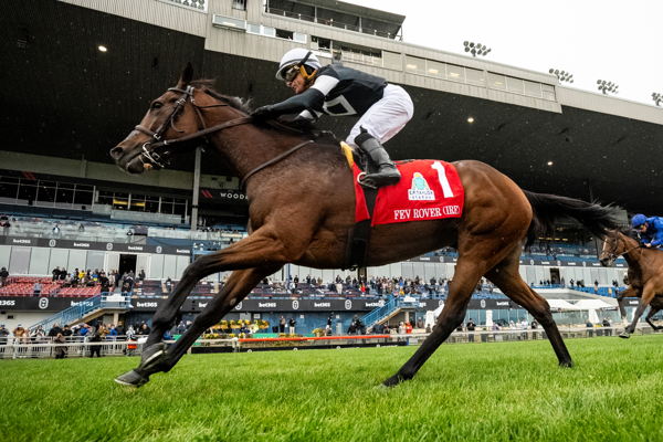 Grade 2 bet365 Dance Smartly: Canadian champion Fev Rover (IRE) looks ...
