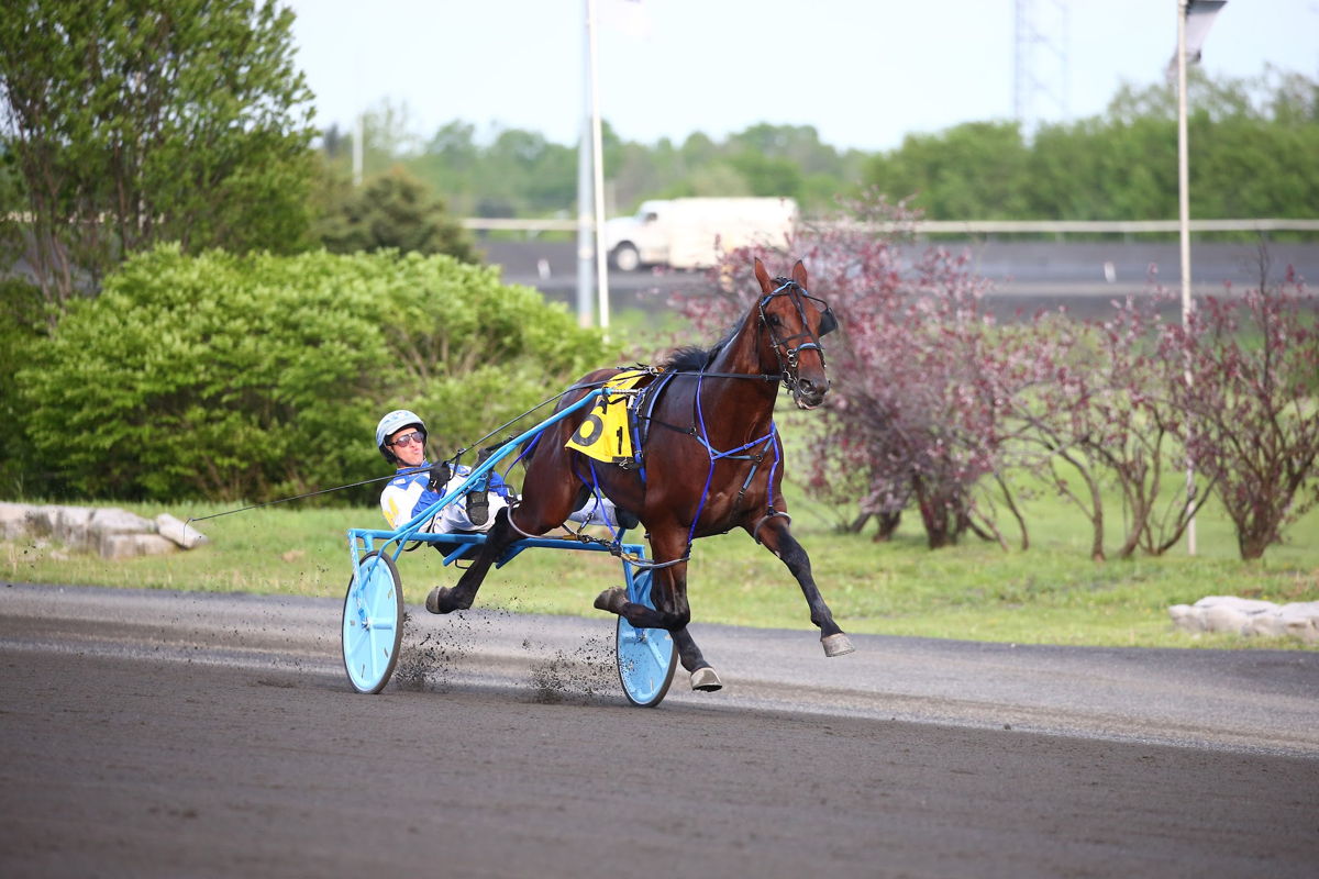 Greatest Ending winning on May 21 with James MacDonald at the lines. (New Image Media)