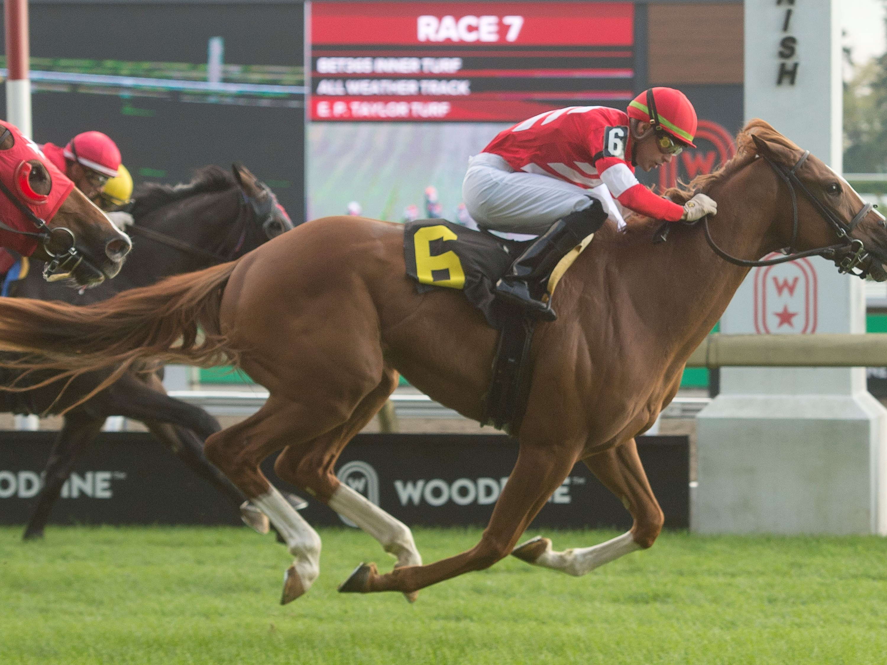 McAvoy tries stakes ranks for the first time in Niagara