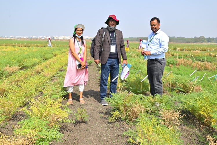 Scientists at ICRISAT's Chickpea Field Day 2024