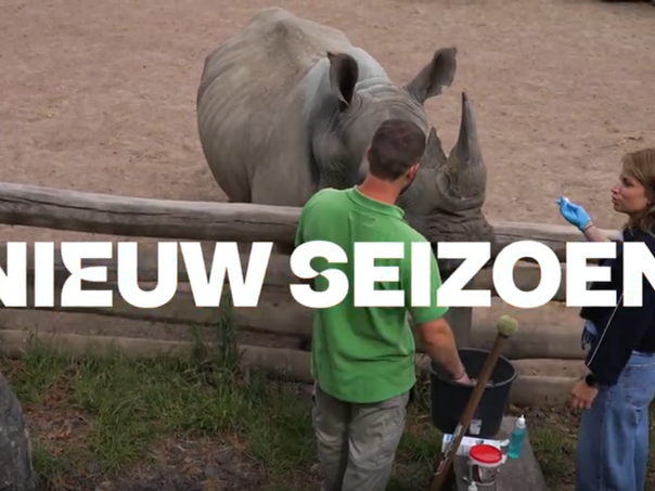 Seizoen 11 van Expeditie Pairi Daiza vanaf 30 augustus op VTM.