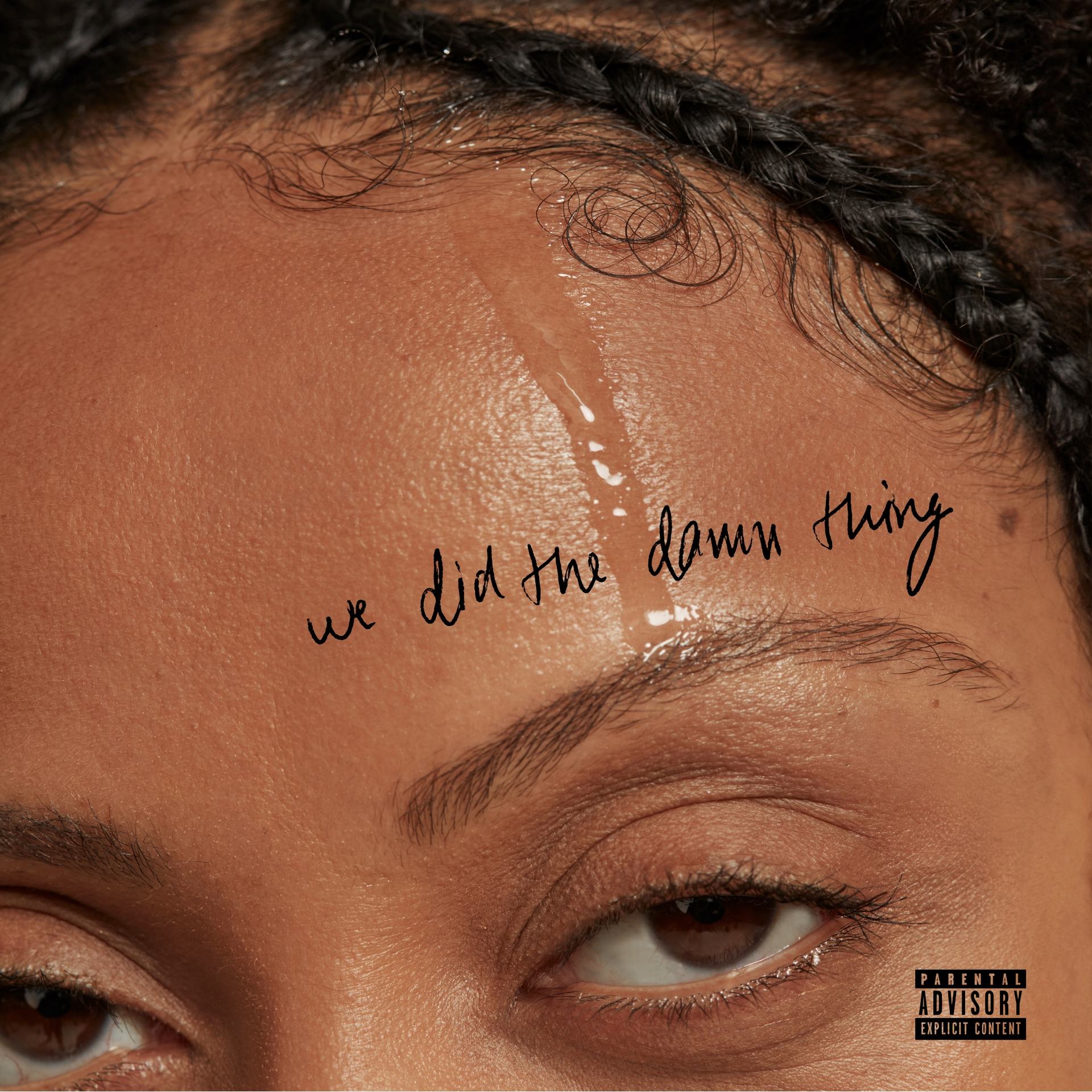Naya Ali - We Did The Damn Thing Naya Ali - We Did The Damn Thing