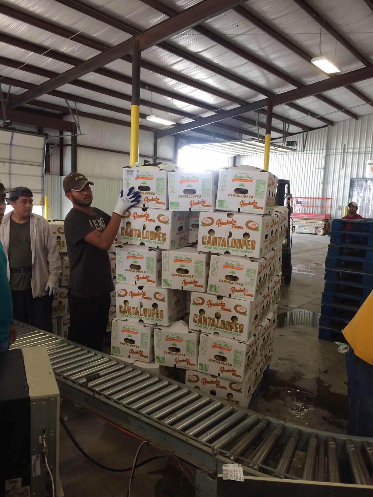 2016: Fresh cantaloupe packed and ready for market