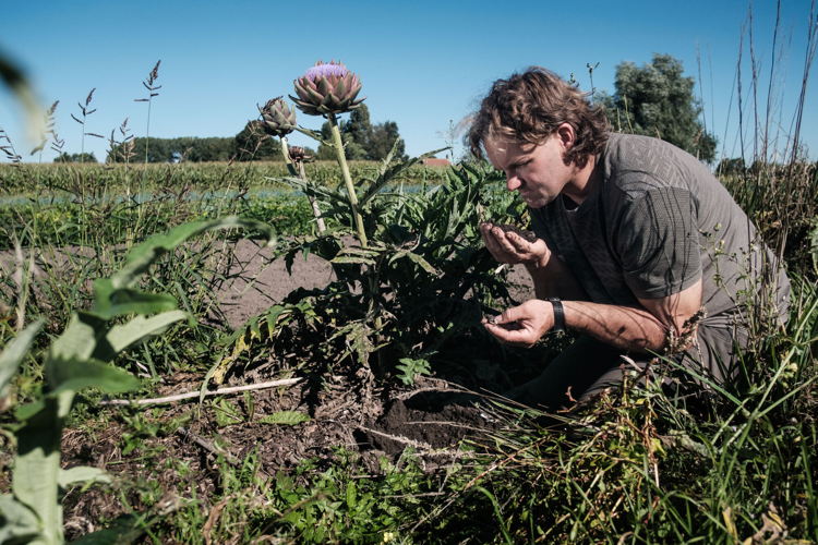 Meer schimmels in de bodem verbeteren de structuur en de werkbaarheid van de grond.