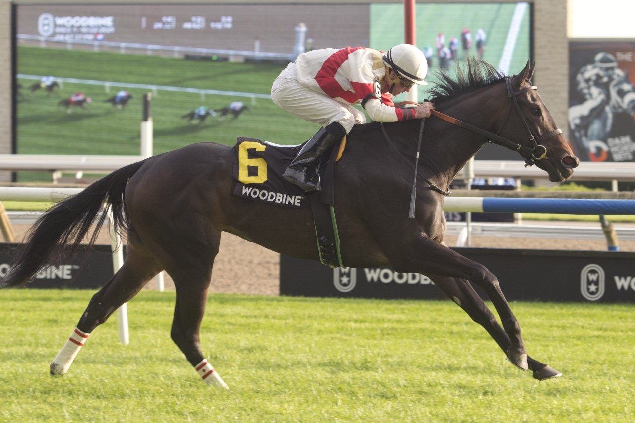 Lorena and Gary Boulanger glide to victory in the Thunder Bay Stakes at Woodbine on October 22, 2021. (Michael Burns Photo)