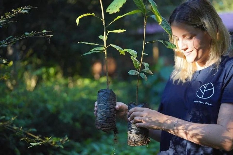 Sarah Parent planting tree