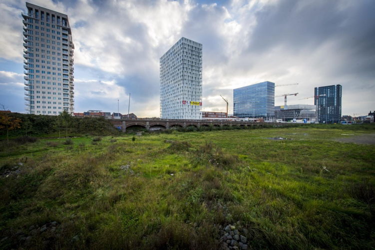 De torens aan Park Spoor Noord. ‘Een fantastisch voorbeeld van hoe hoogbouw een plaats kan krijgen in Antwerpen.’ ©frbe