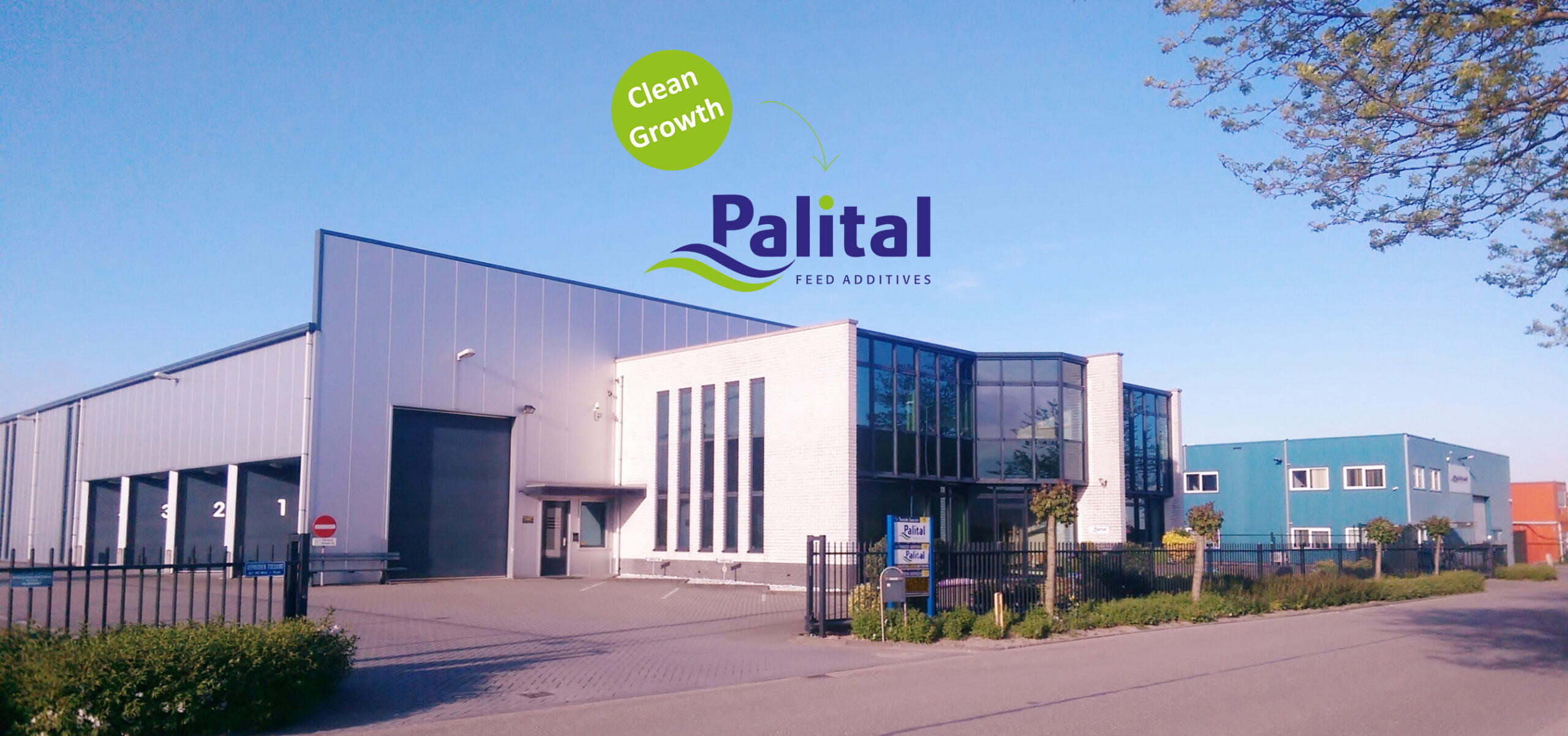 Palital