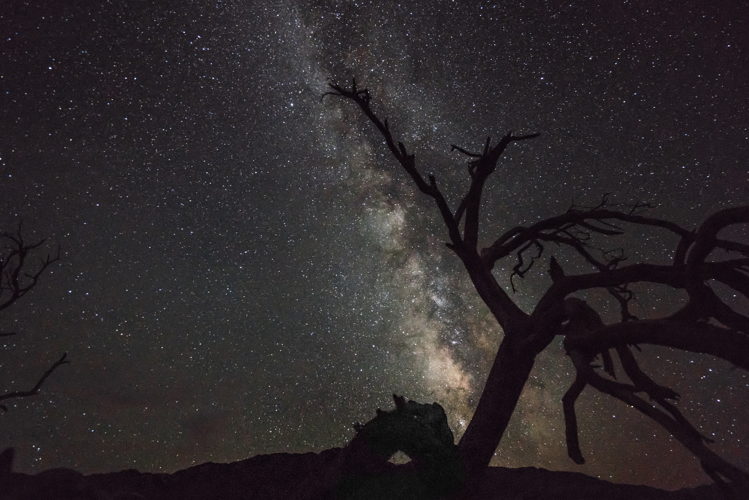 Joshua Tree National Park, California.
