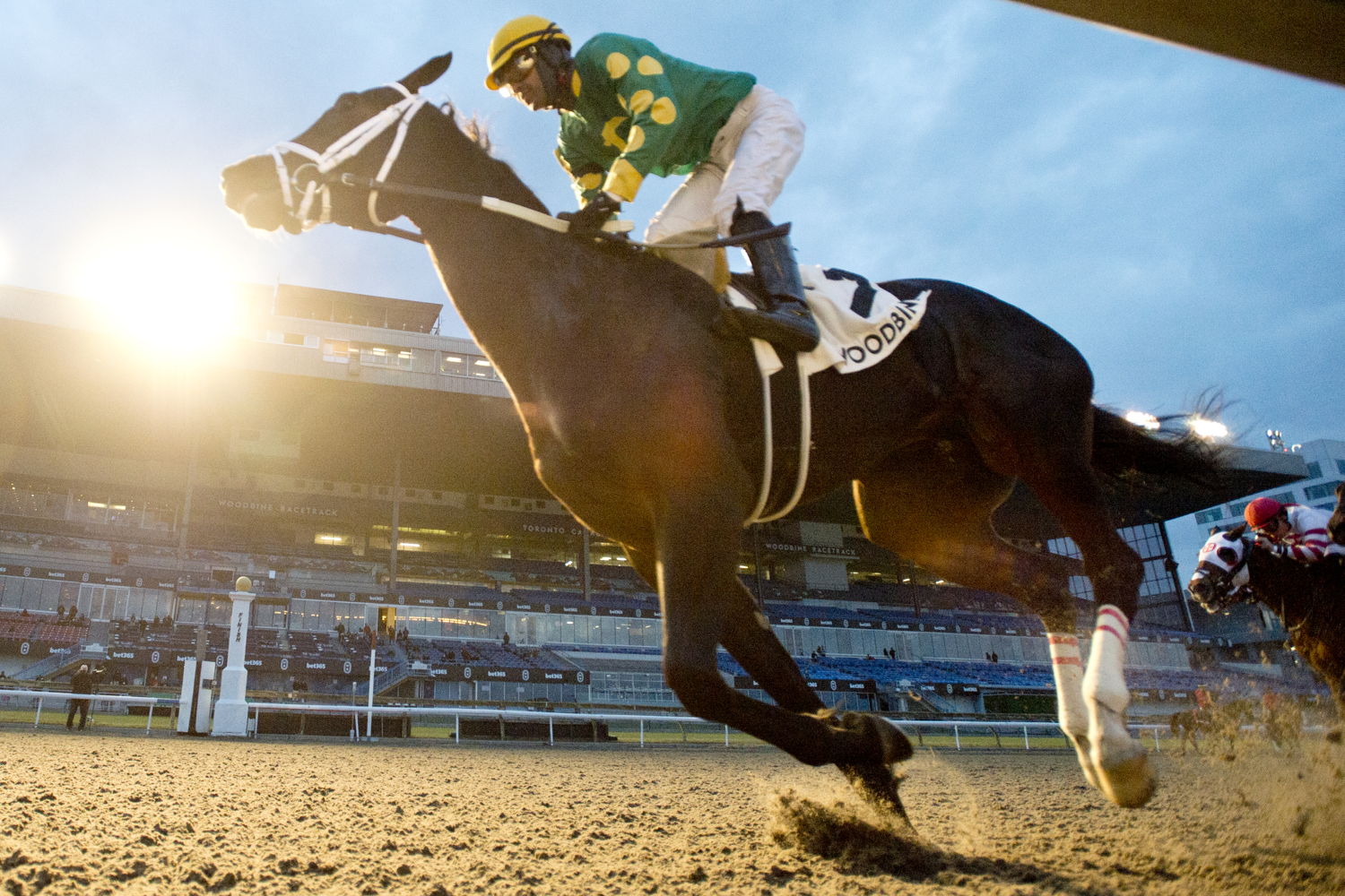 Fashionably Fab and jockey Patrick Husbands winning the La Prevoyante Stakes on December 9, 2023 at Woodbine (Michael Burns Photo)