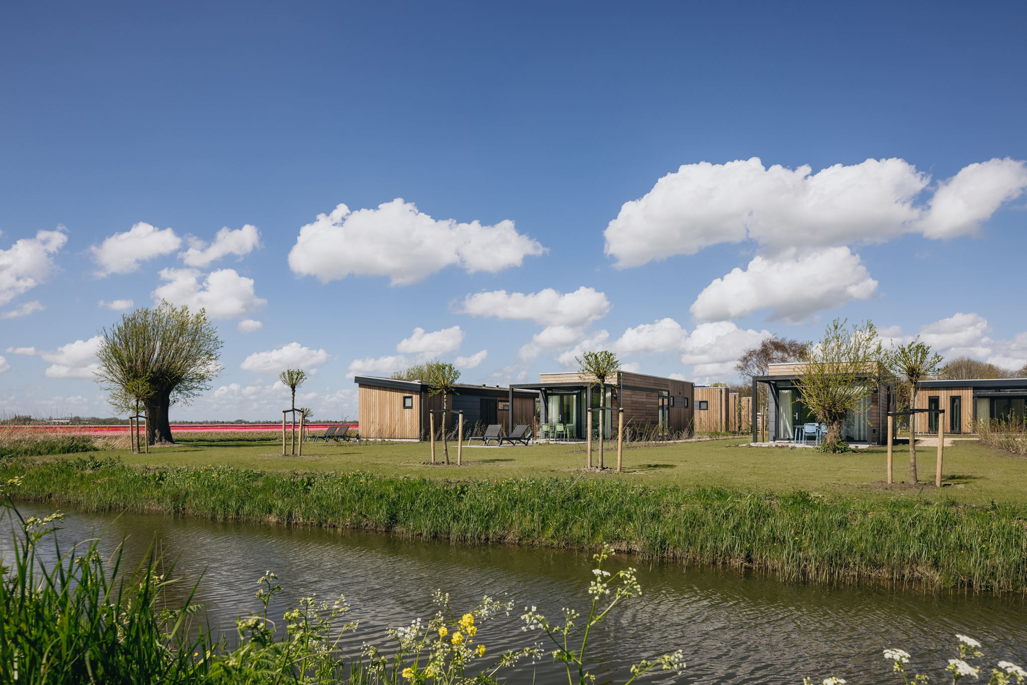 Roompot krijgt nieuw natuurpark in Noord-Hollandse Wijdenes
