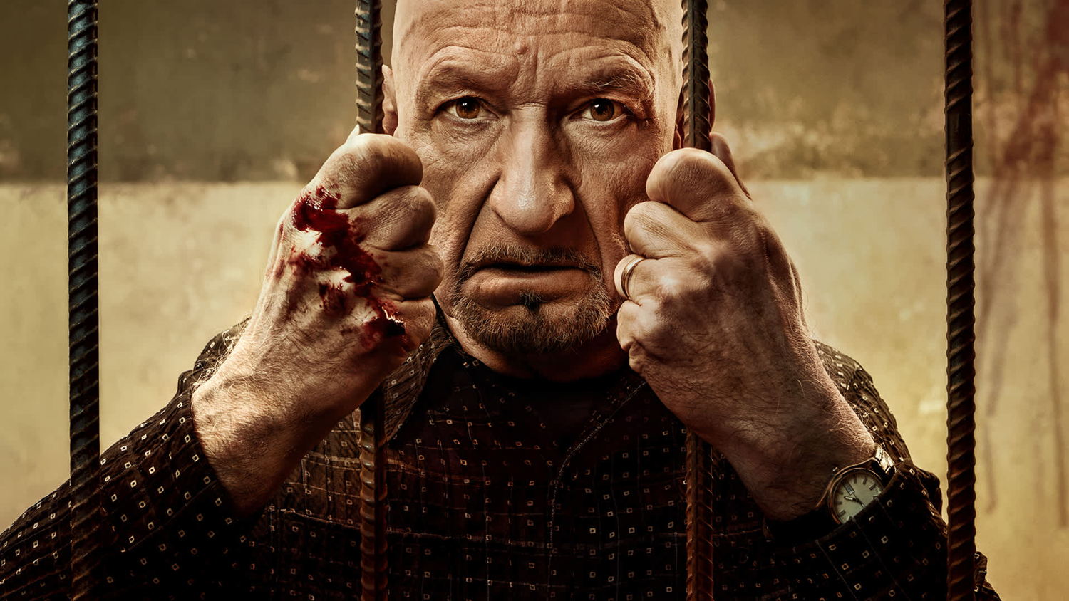 Ben Kingsley (Byron Brown) - (c) Epix