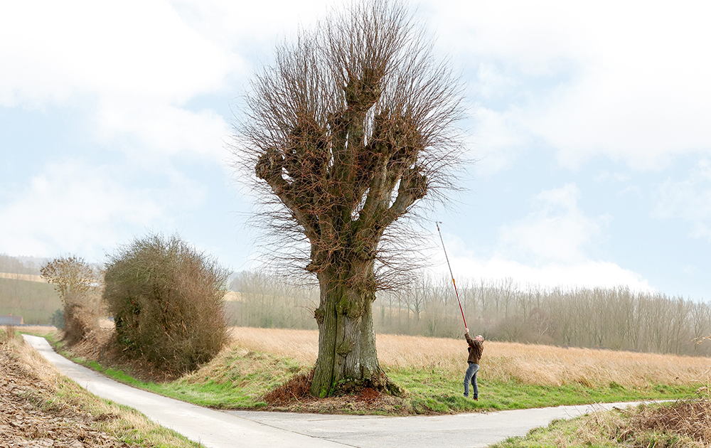 Entenproject Provincie valt in prijzen op European Heritage Awards 