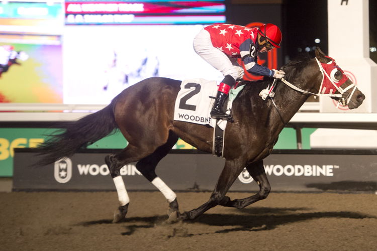 No More Options and jockey Ryan Munger winning the Lake Ontario Stakes on November 17, 2024 at Woodbine (Michael Burns Photo)