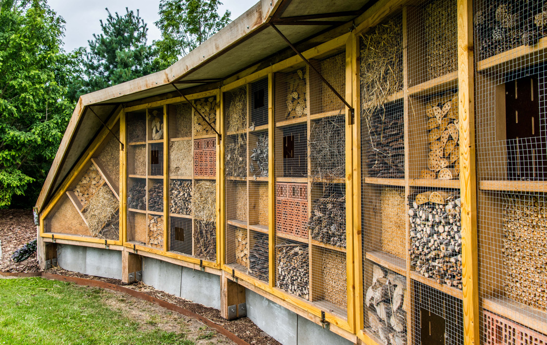 Stad plaatst enorm insectenhotel op begraafplaats Ruggeveld